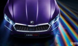 斯柯达修理工爆料视频,揭秘汽车维修内幕