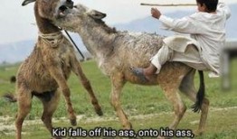 二驴爆料老葛是谁啊视频,二驴爆料老葛身份之谜